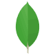 MongoDB